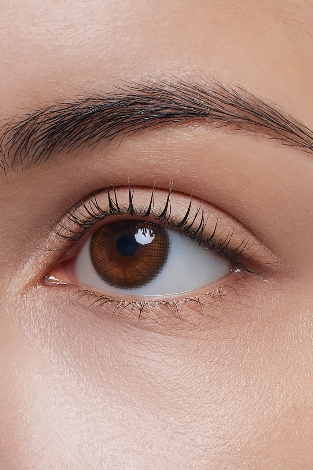 Lovesick Kristin Amber Brown